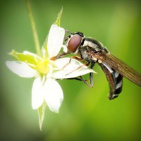 /album/blettimefac/photolia-a02-jpg/