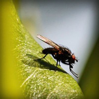 /album/blettimefac/photolia-a04-jpg/