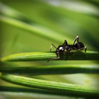 /album/blettimefac/photolia-a05-jpg/