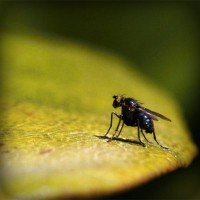 /album/blettimefac/photolia-a07-jpg/