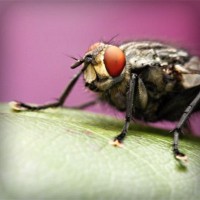 /album/blettimefac/photolia-a08-jpg/